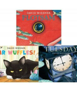 David Wiesner Series 3 Books Collection Set Tuesday Mr Wuffles Flotsam