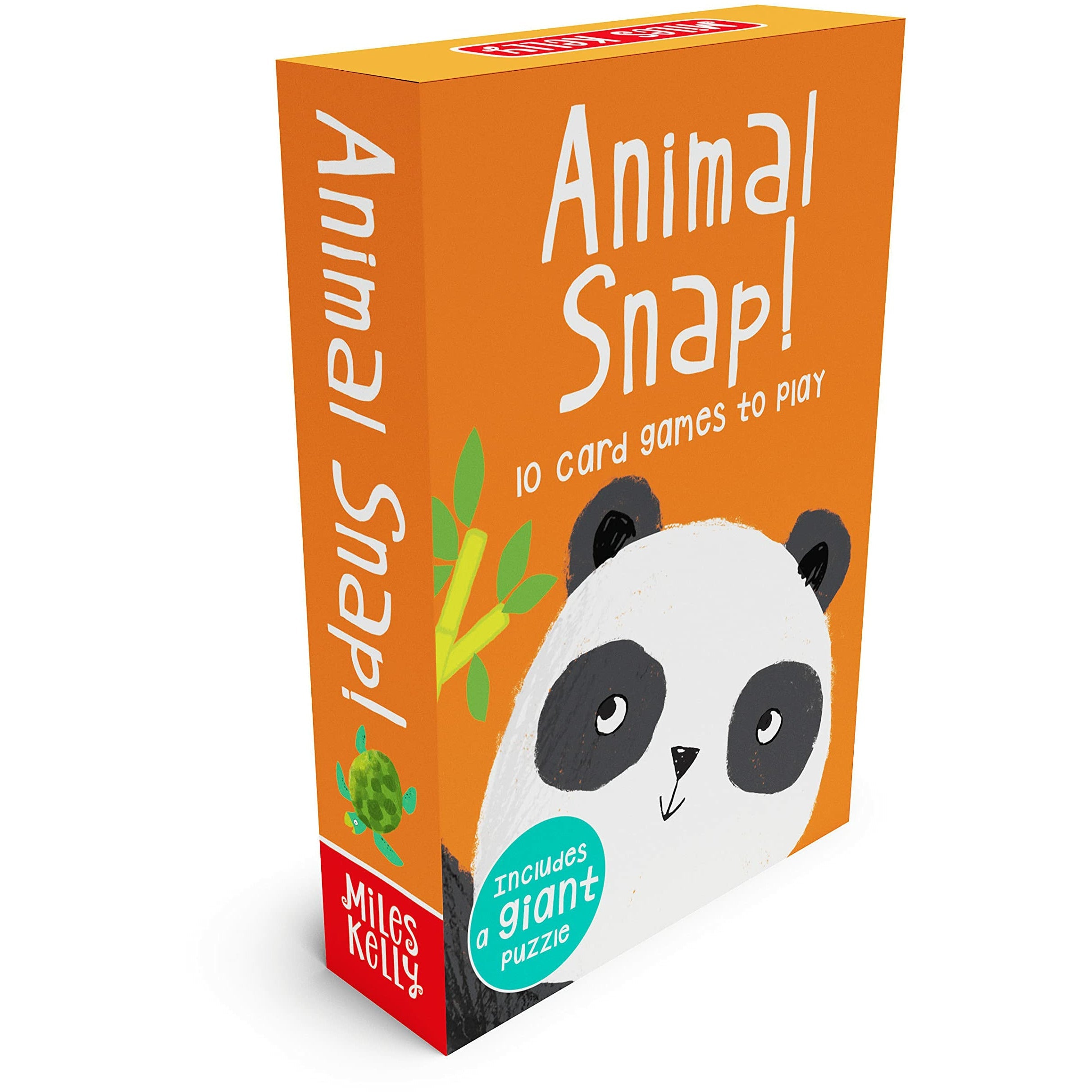 Snap Get Set Go: Animal, Dinosaur, On the Go & Sea Flashcards Set - Image 5