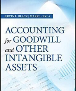 Accounting For Goodwill And Other Intangible Assets