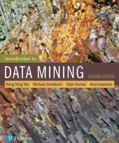 Introduction To Data Mining 2Nd Edition