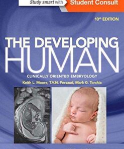 The Developing Human Clinically Oriented Embryology 10E 10Th Edition