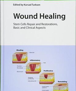 Wound Healing Stem Cells Repair And Restorations Basic And Clinical Aspects